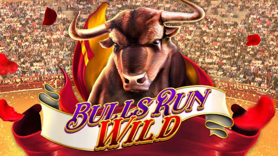 Bulls Run Wild DNT